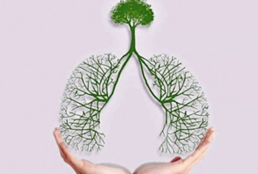 COPD是()的简称