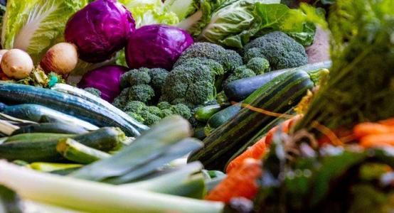 蔬菜带给我们各种各样的营养成分这是因为组成蔬菜细胞的营养成分...